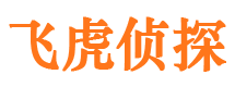 水城市私家侦探公司